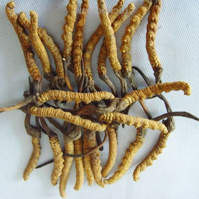 昆明海参回收，诚信便捷，经验丰富